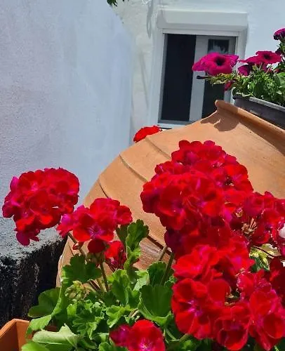 Elaion Vacation Naxos City